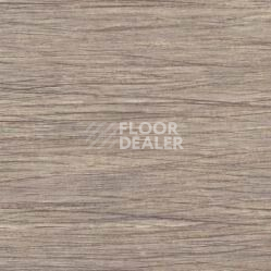 Линолеум Taralay Initial Comfort 0799 Filament Light фото 1 | FLOORDEALER